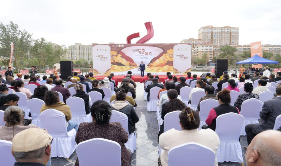 天路精英女, BOj 天路精英女, BOj